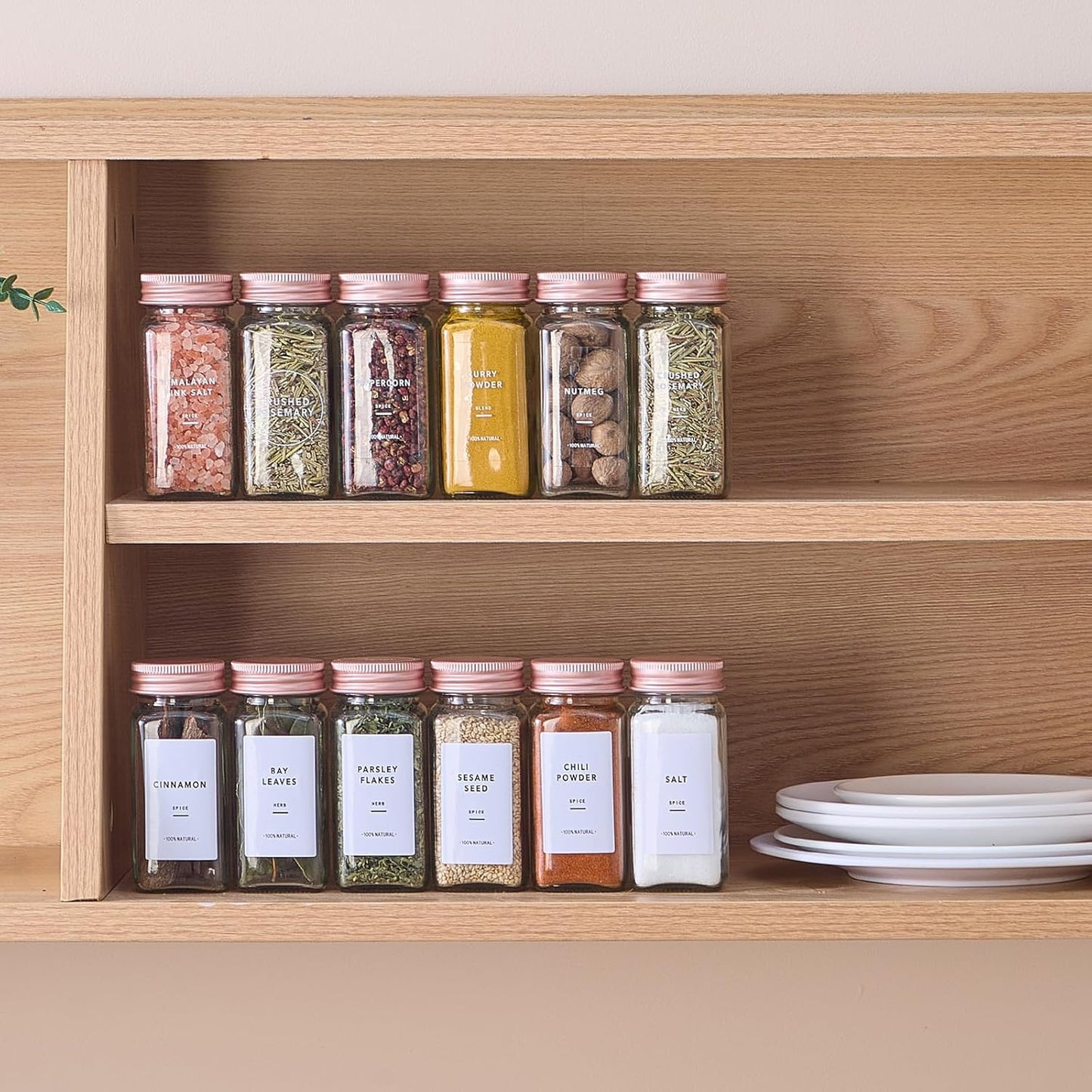 SpiceMaster 24-Piece Glass Spice Jar Set