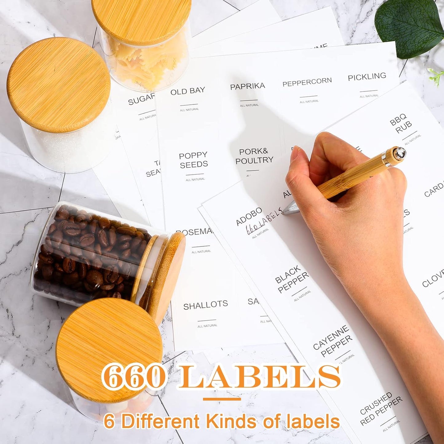 SpiceSavor Glass Jar Set